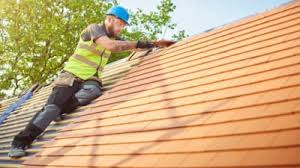Best Roof Coating Services  in Davis Junction, IL