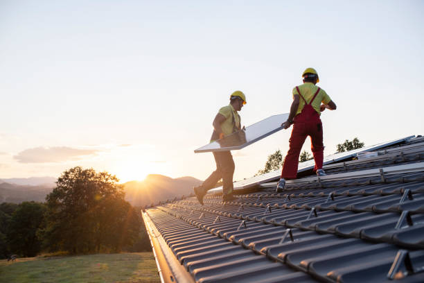 Best Emergency Roof Repair Services  in Davis Junction, IL