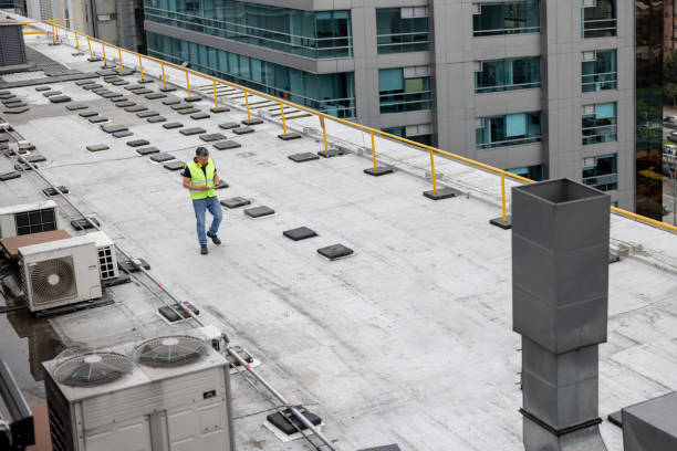 Best Sheet Metal Roofing  in Davis Junction, IL