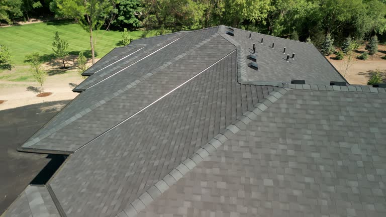 Fast & Reliable Emergency Roof Repairs in Davis Junction, IL
