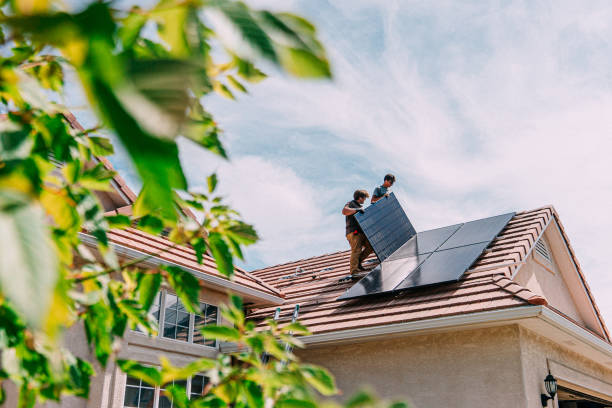Best Rubber Roofing (EPDM, TPO)  in Davis Junction, IL